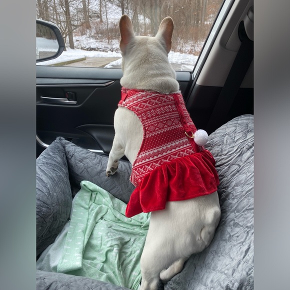 Family & friends - Picture 2 of 8